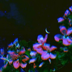 melancholy interlude