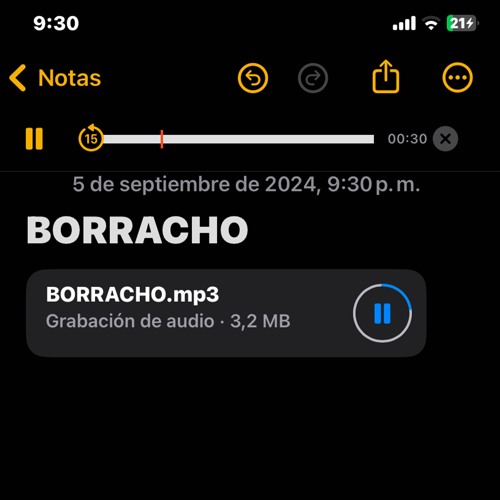 Borracho