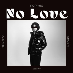 NO LOVE - SHUBH, 2unnyy (Pop)