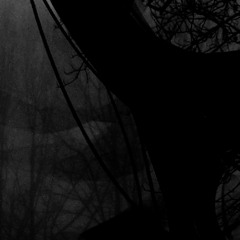 someday everyone will disappear