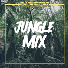 Jungle DnB Mix
