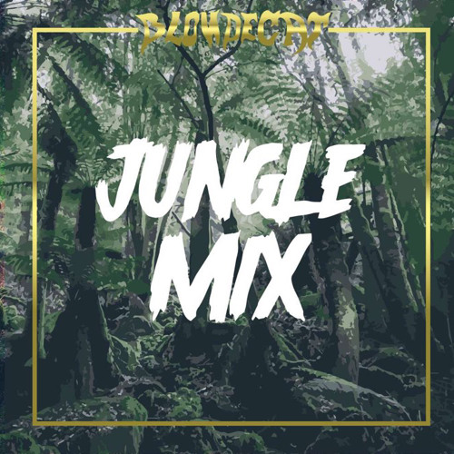 Jungle DnB Mix