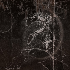 Understand (prod. Falsifyed)