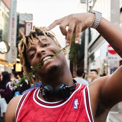 Mistletoe  - 🧃🌍