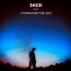 COMMAND THE SKY