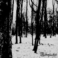 сломанная психика