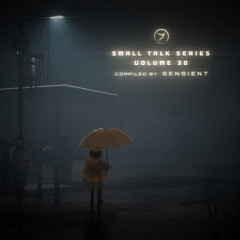 Maple Tacos (Out now on Zenon Records Va Small Talk Series Vol.30 - compiled by Sensient