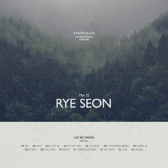 RYE SEON @Synthasia Open Air 2025
