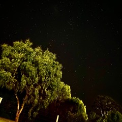 stand still like the hummingbird (hosty444)