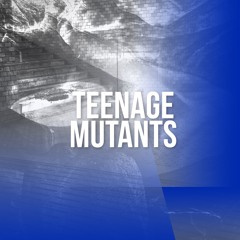 NYE 008 w// Teenage Mutants