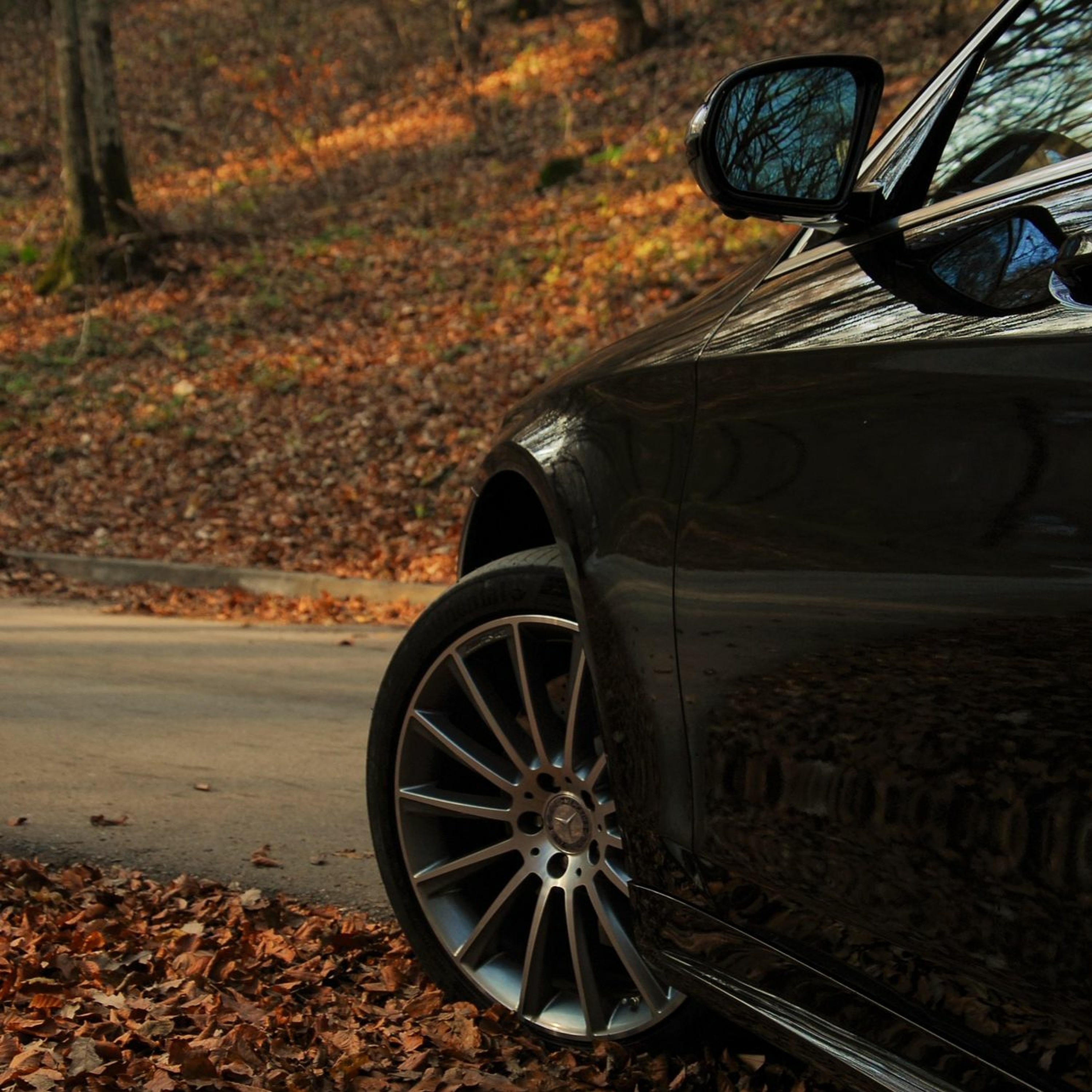 All About the Car