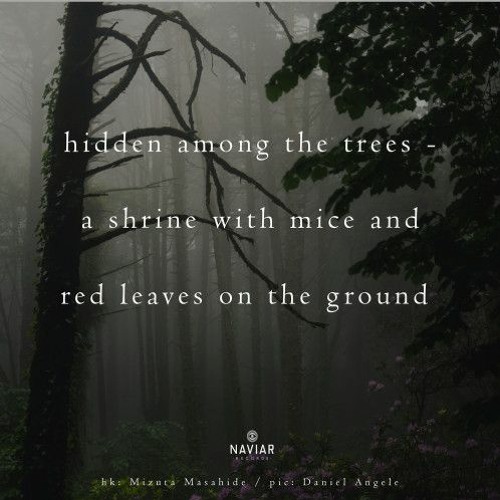 OneAmbient4 - Hidden Among The Trees (Naviarhaiku 369)