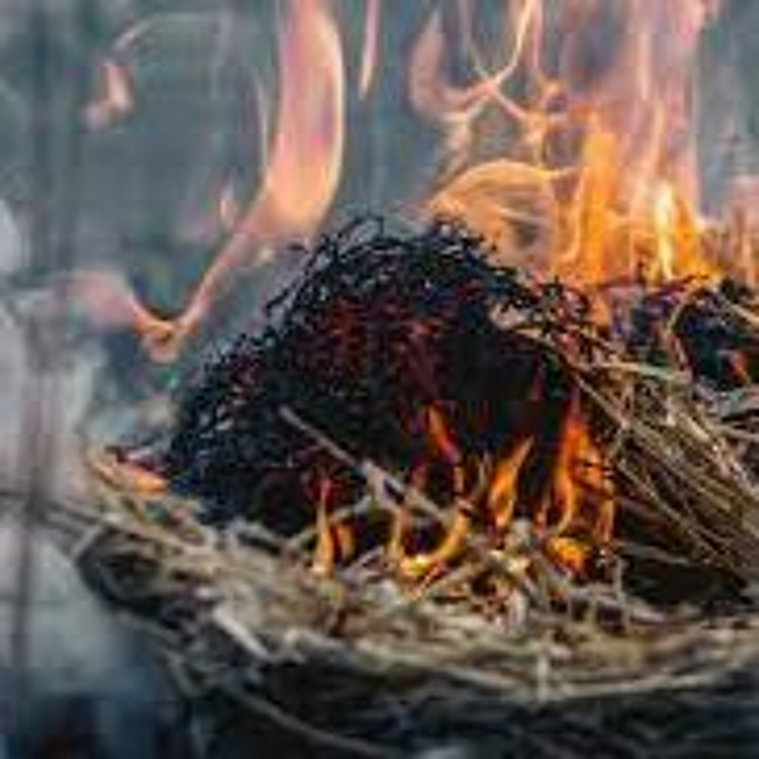 LW #188: Spring (and Kūla smoke)is in the Air and News from March 23rd - 29th, 2023