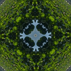 Supernova - SoDown, Oblivinatti, TwinFlame (Elvish Mysticism Remix)