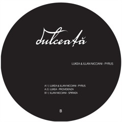 Illan Nicciani - Spiraea