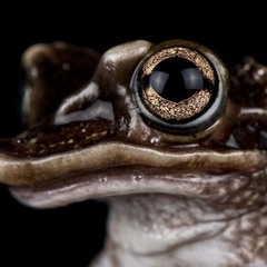 pretti fun/ok type beat