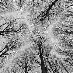 Artist - Sol Nightshade Track - Spoken Silence