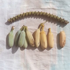 Naomi W / Jamais Vu 0.2