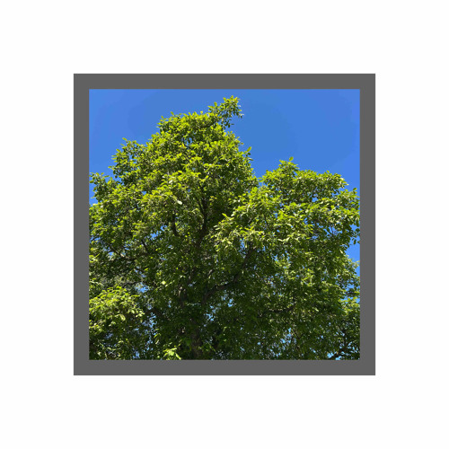 4(17) Mina maskningar