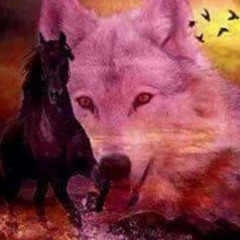 complicatede//outtherepatta