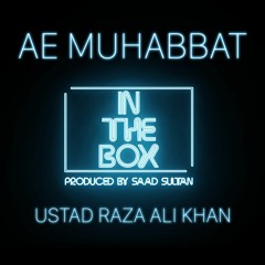 In The Box | Ae Muhabbat | Ustad Raza Ali Khan | Saad Sultan