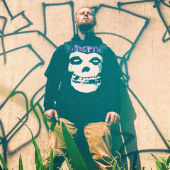 WITH MY VANS ON💜🛹🛹🛹🛹