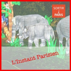 L'Instant Parisien, épisode 12 : Jungle en voie d'illumination et Mosaicafé