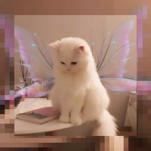 Whimsical | Free for non profit | Hyperpop | Rojuu | Saramalacara | Ethereal | Aigis