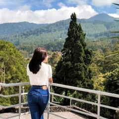 DJ NEGARO JOH - KRISNA PURPA feat DIAN KRISNA TAHUN 2020