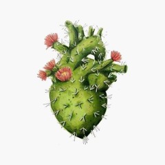 Rodrigo Pampuche - Vamo