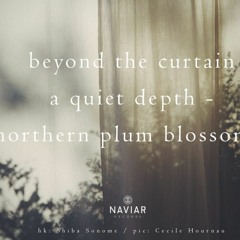A Quiet Depth (NaviarHaiku381)