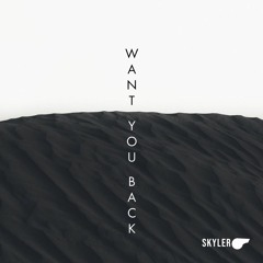 Skyler - Want You Back