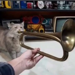 Cat Playing Trumpet (full Version)
