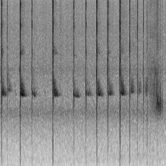 Bat ultrasonic echolocation (AudioMoth / 8000 Hz)