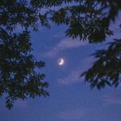 VOVANIMETS - moon