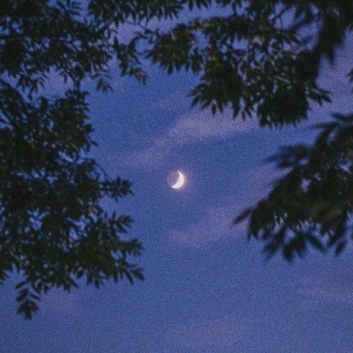 VOVANIMETS - moon