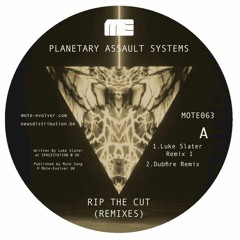 Planetary Assault Systems-Rip The Cut (Dubfire Remix)