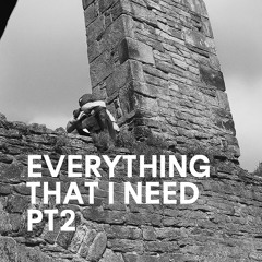 EVERYTING THAT I NEED PT 2 -DSONTHEBEAT