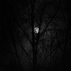 Midnight Still (ft. Levon Winther) [lofi]