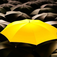 DSD - 218 Я создан особенным