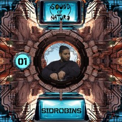 Sound Of Desert - Sidrobins #01