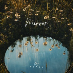 Mirror(cover)