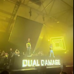 Dual Damage & Deadly Guns - ID