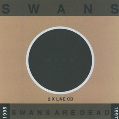 Swans 'feel happiness' live 1997 Boston