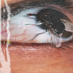 Amnesia (feat. Yngxvp)