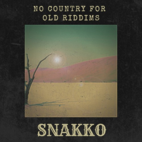 No Country For Old Riddims (FREE DL)