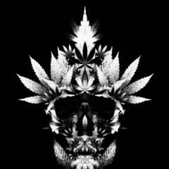 WEED KILLA