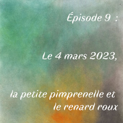 Episode 9 : Le 4 mars 2023, la petite pimprenelle et le renard roux