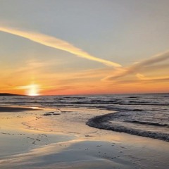 Blooming In Filth w/ CRISIS ACTING 101225