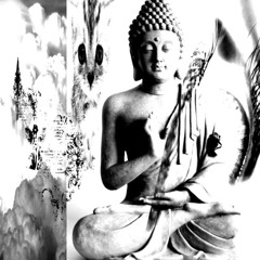 flyy (song war NLK )